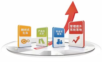 2019金慧軟件老客戶業務培訓周如火如荼地開展，助力信息咨詢服務升級